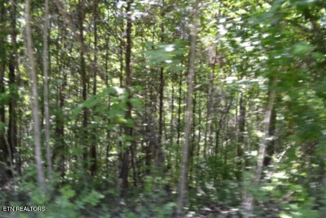 2390 Pea Ridge Fire Tower Road Celina TN 38551
