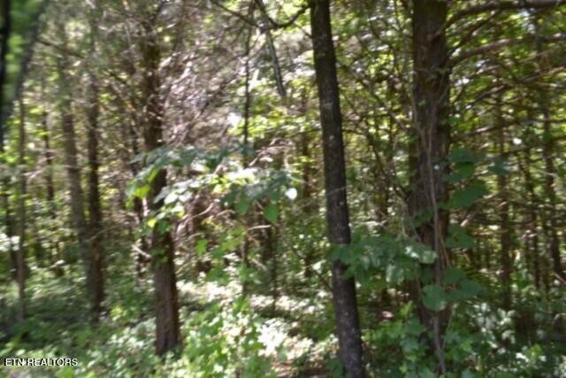 2390 Pea Ridge Fire Tower Road Celina TN 38551
