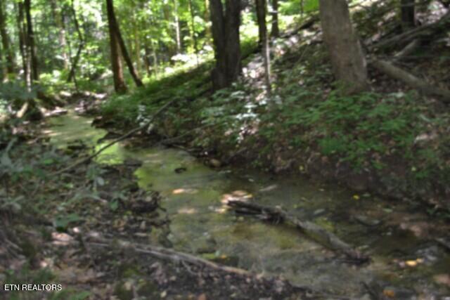 2390 Pea Ridge Fire Tower Road Celina TN 38551