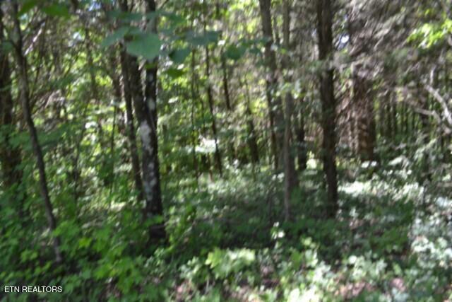 2390 Pea Ridge Fire Tower Road Celina TN 38551