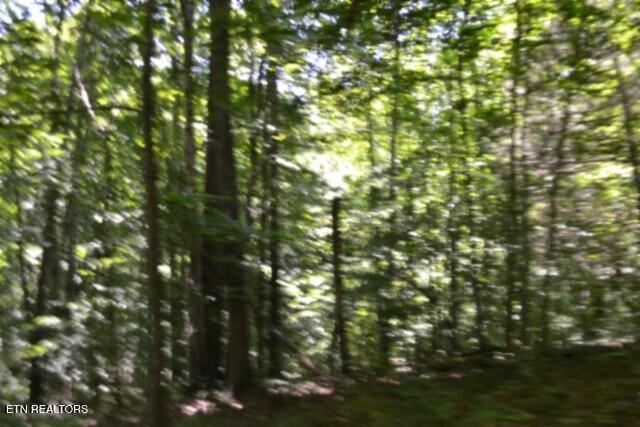 2390 Pea Ridge Fire Tower Road Celina TN 38551