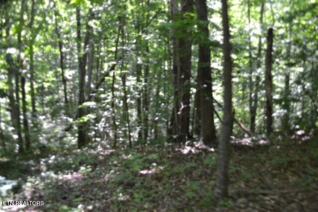 2390 Pea Ridge Fire Tower Road Celina TN 38551