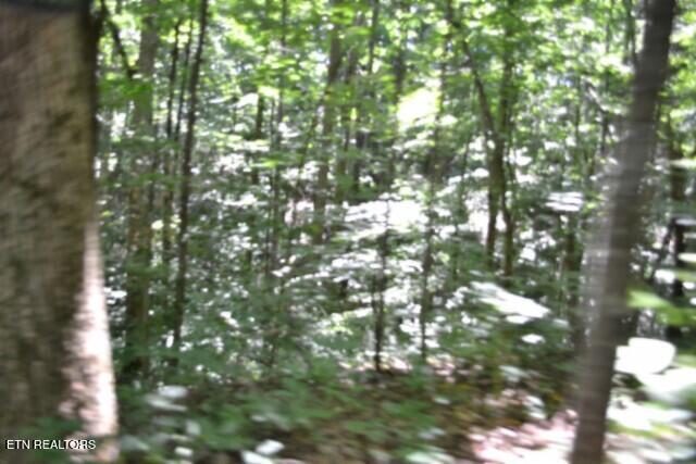 2390 Pea Ridge Fire Tower Road Celina TN 38551
