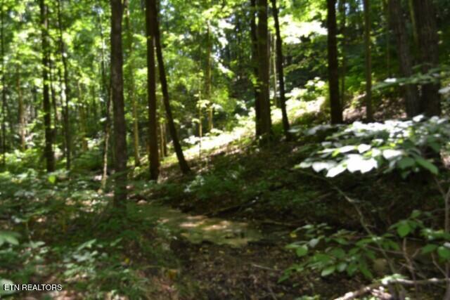 2390 Pea Ridge Fire Tower Road Celina TN 38551
