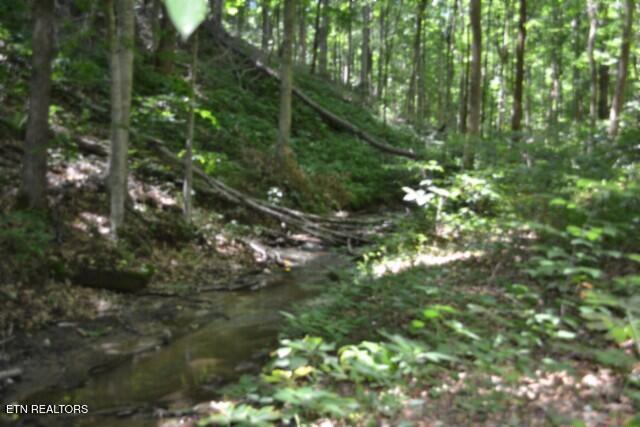 2390 Pea Ridge Fire Tower Road Celina TN 38551