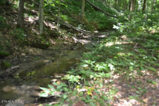 2390 Pea Ridge Fire Tower Road Celina TN 38551