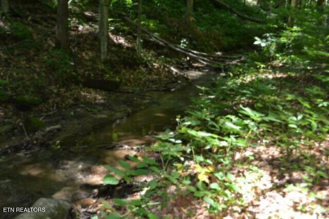 2390 Pea Ridge Fire Tower Road Celina TN 38551