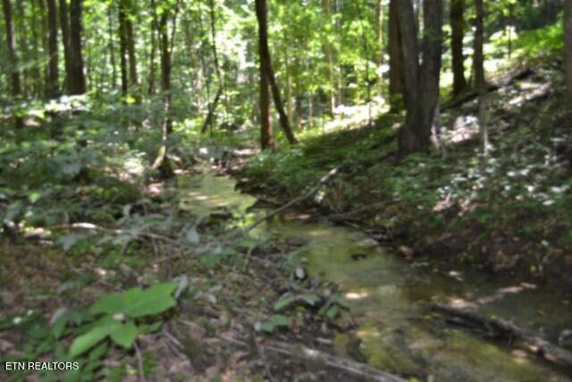 2390 Pea Ridge Fire Tower Road Celina TN 38551