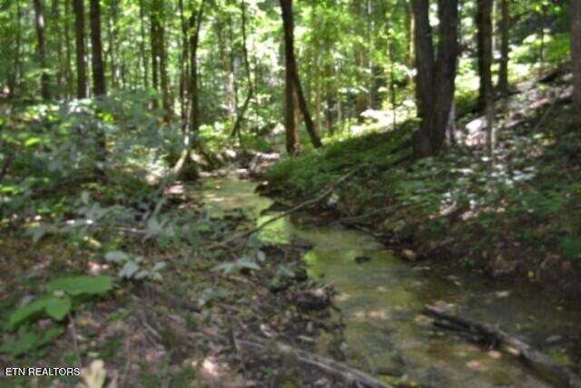 2390 Pea Ridge Fire Tower Road Celina TN 38551