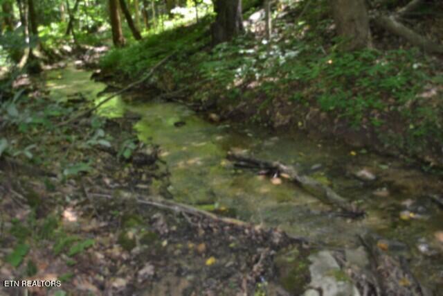 2390 Pea Ridge Fire Tower Road Celina TN 38551