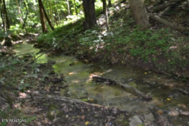 2390 Pea Ridge Fire Tower Road Celina TN 38551