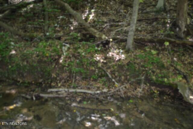2390 Pea Ridge Fire Tower Road Celina TN 38551