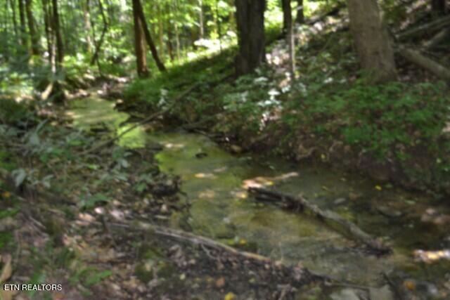 2390 Pea Ridge Fire Tower Road Celina TN 38551