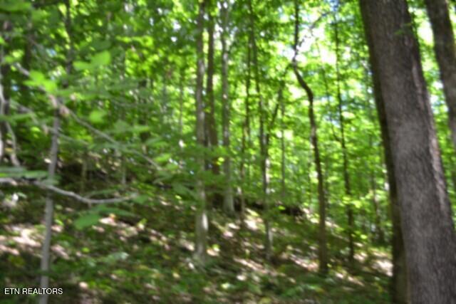 2390 Pea Ridge Fire Tower Road Celina TN 38551