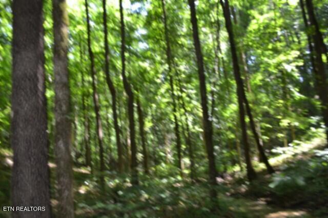 2390 Pea Ridge Fire Tower Road Celina TN 38551