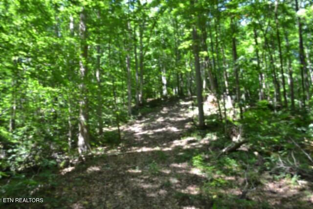 2390 Pea Ridge Fire Tower Road Celina TN 38551