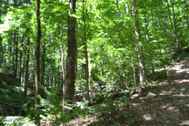 2390 Pea Ridge Fire Tower Road Celina TN 38551