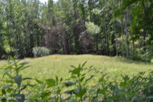 2390 Pea Ridge Fire Tower Road Celina TN 38551