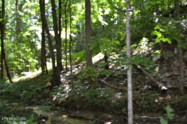 2390 Pea Ridge Fire Tower Road Celina TN 38551