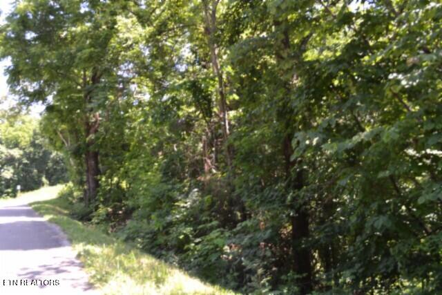 2390 Pea Ridge Fire Tower Road Celina TN 38551