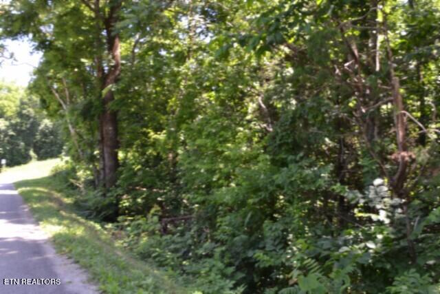 2390 Pea Ridge Fire Tower Road Celina TN 38551