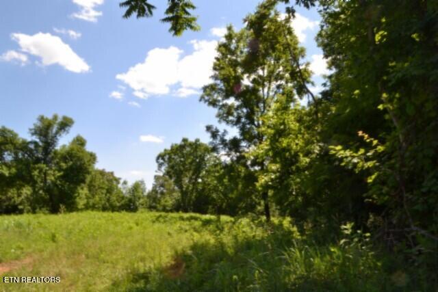 2390 Pea Ridge Fire Tower Road Celina TN 38551