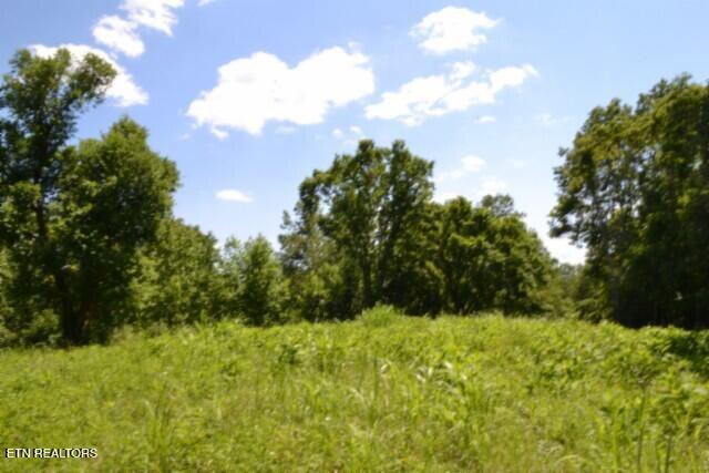 2390 Pea Ridge Fire Tower Road Celina TN 38551