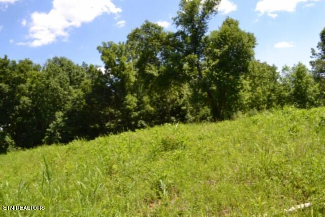 2390 Pea Ridge Fire Tower Road Celina TN 38551