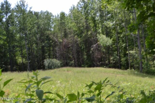 2390 Pea Ridge Fire Tower Road Celina TN 38551