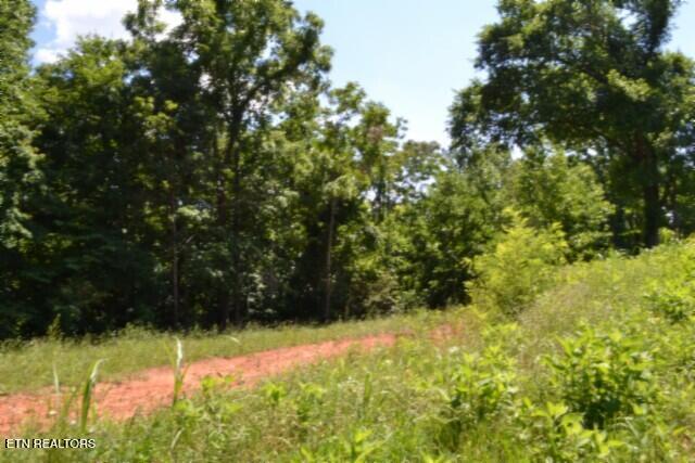 2390 Pea Ridge Fire Tower Road Celina TN 38551
