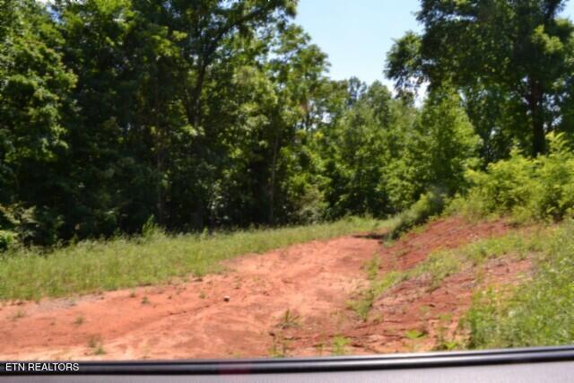 2390 Pea Ridge Fire Tower Road Celina TN 38551