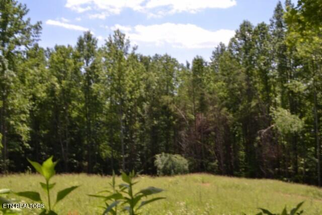 2390 Pea Ridge Fire Tower Road Celina TN 38551