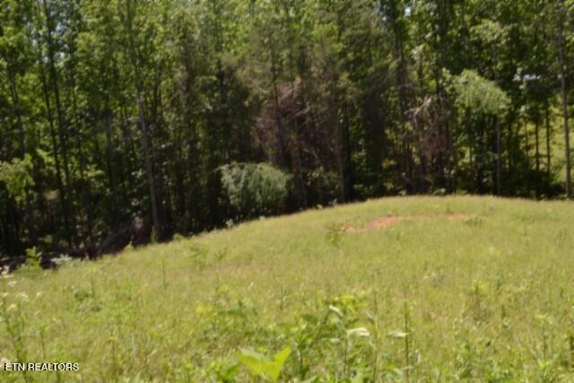2390 Pea Ridge Fire Tower Road Celina TN 38551