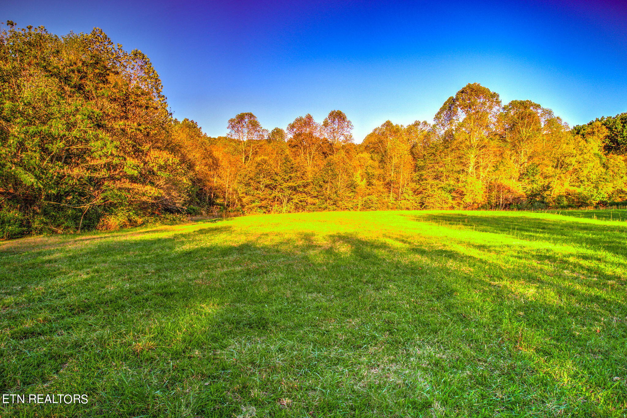0 Ridge Circle Road Andersonville TN 37705