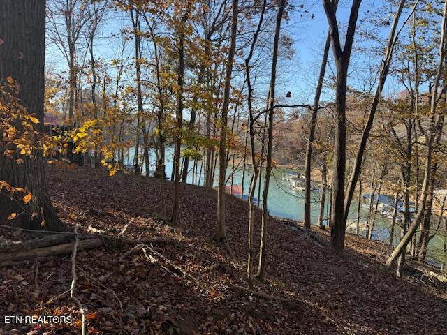 Deer Run Place Lafollette TN 37766