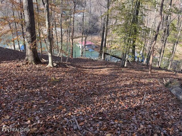 Deer Run Place Lafollette TN 37766