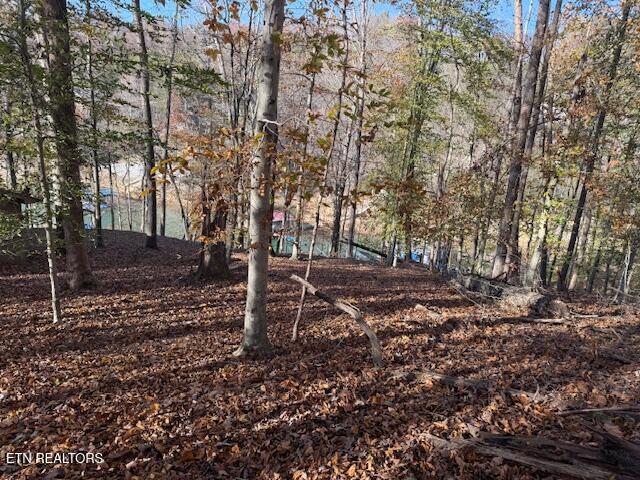 Deer Run Place Lafollette TN 37766