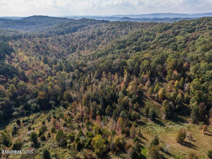 Emerald Pointe Circle Rockwood TN 37854