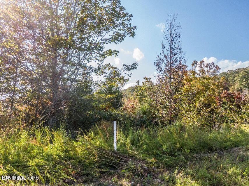 Emerald Pointe Circle Rockwood TN 37854