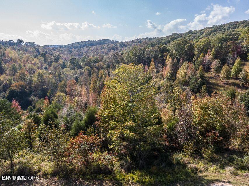 Emerald Pointe Circle Rockwood TN 37854