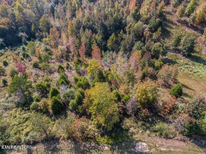 Emerald Pointe Circle Rockwood TN 37854