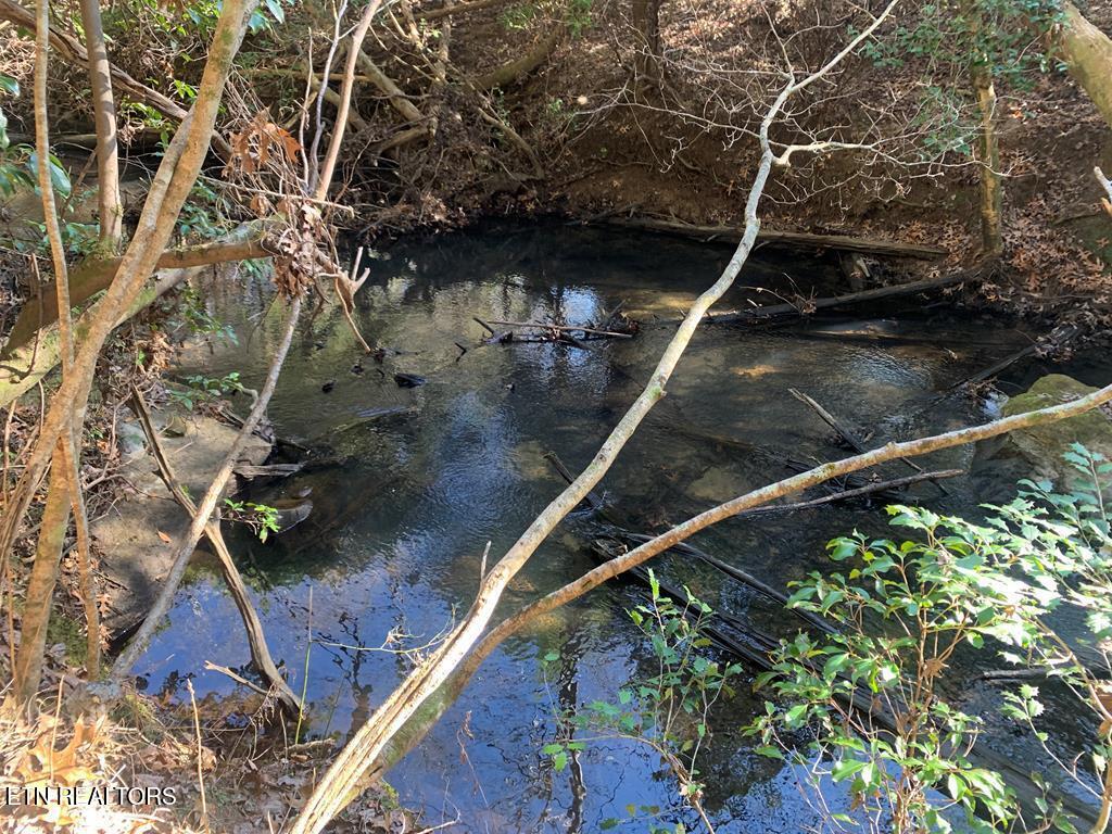 Tract 2 Lone Wolf Trail Spencer TN 38585