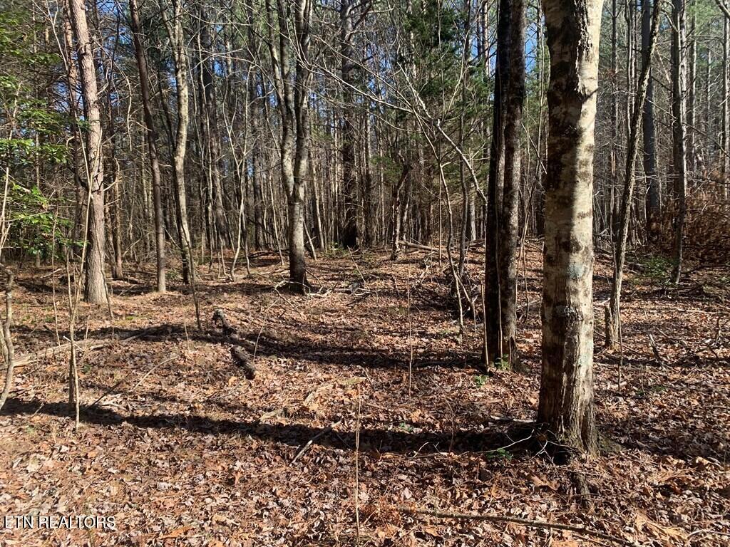 Tract 2 Lone Wolf Trail Spencer TN 38585