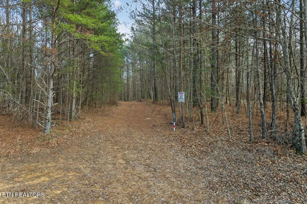 Tract 2 Lone Wolf Trail Spencer TN 38585