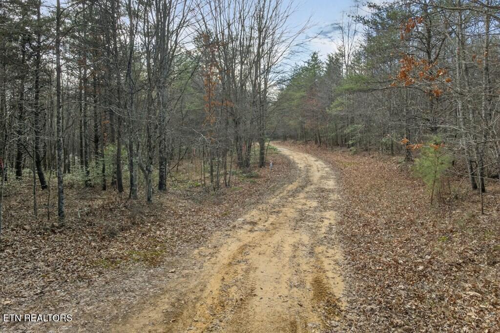 Tract 2 Lone Wolf Trail Spencer TN 38585