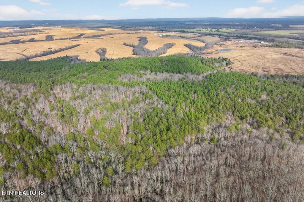 Tract 2 Lone Wolf Trail Spencer TN 38585
