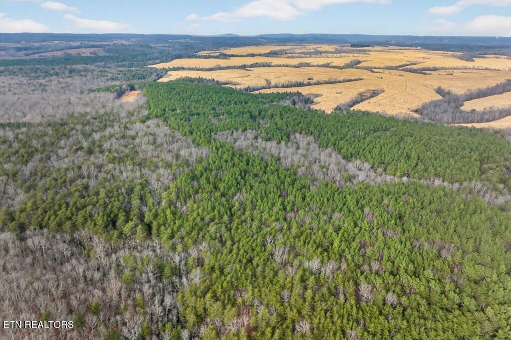 Tract 2 Lone Wolf Trail Spencer TN 38585
