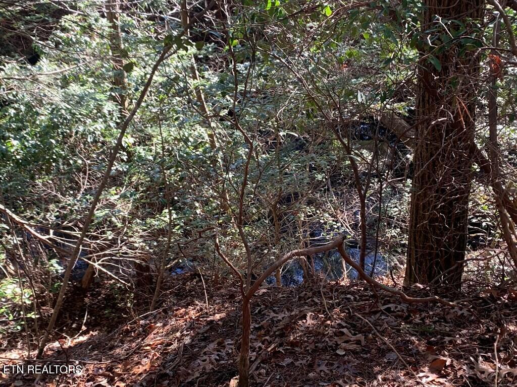 Tract 2 Lone Wolf Trail Spencer TN 38585