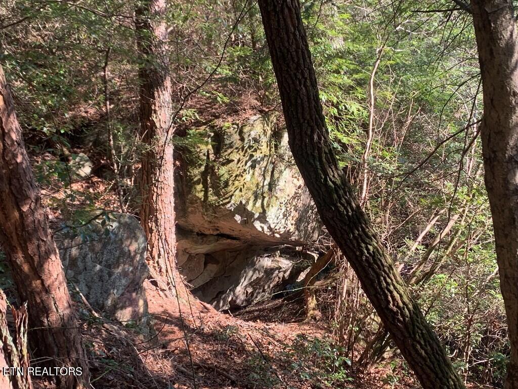 Tract 2 Lone Wolf Trail Spencer TN 38585