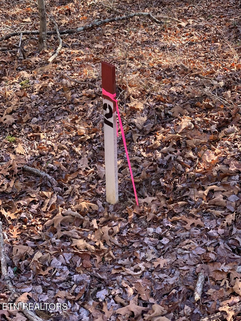 Tract 2 Lone Wolf Trail Spencer TN 38585